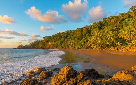 Your itinerary in detail