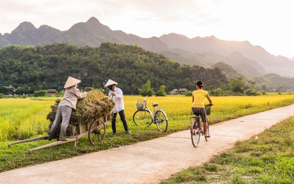 Optional extras & excursions