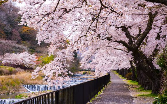 Your itinerary in detail