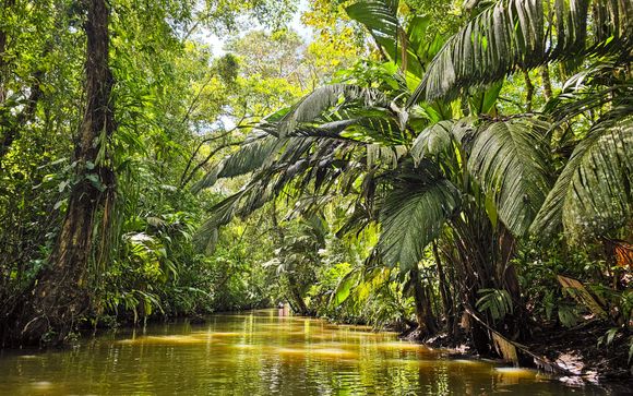 Optional excursions & extras