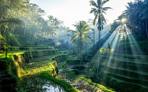 Welcome to Indonesia