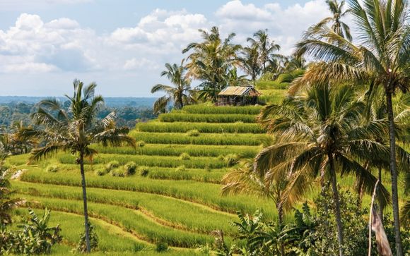 Welcome to Indonesia