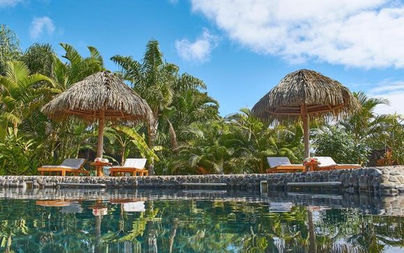Your hotels