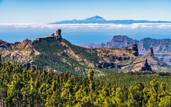 'Best of Gran Canaria' excursion