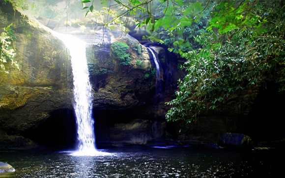 Your Optional Excursions