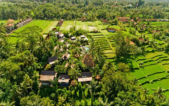 Blue Karma Hotel Ubud 4*