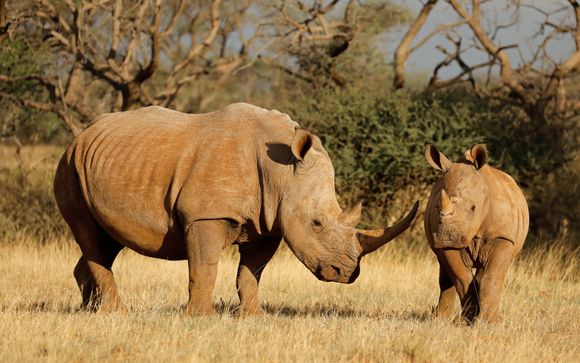 Your Itinerary In Detail