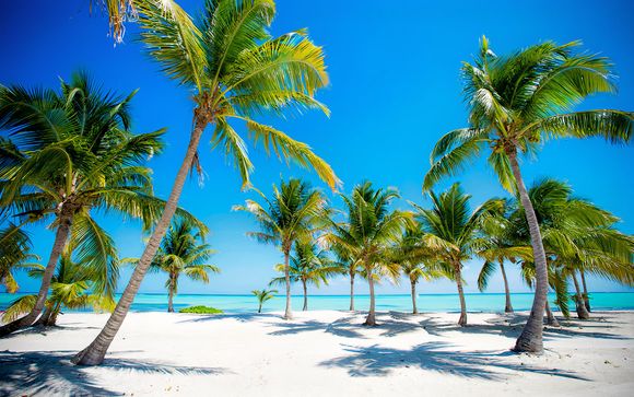 Welcome to the Dominican Republic!