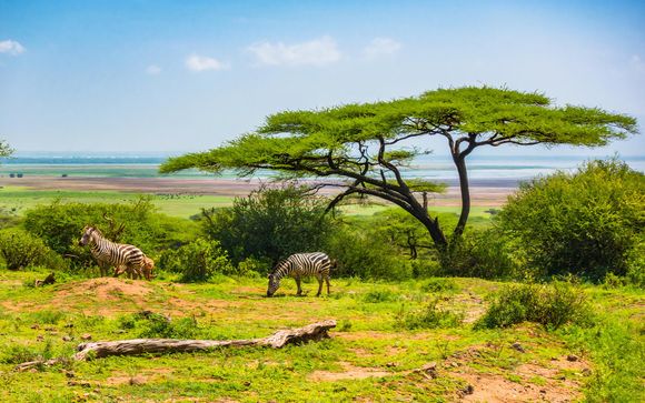 Your Safari Itinerary In Detail