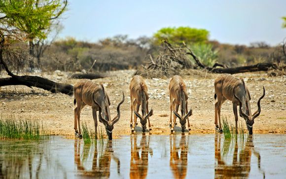 Your Itinerary In Detail