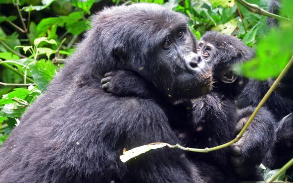 Your Itinerary In Detail