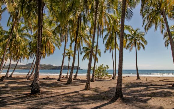 Your Itinerary in Detail