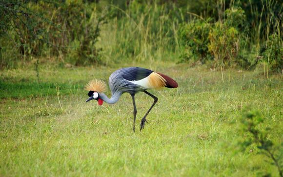 Your Itinerary In Detail