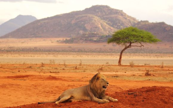 2,3 or 4 Night Safari & Kappa Club Crystal Bay Resort 4*