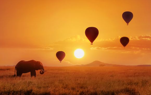 Your Optional Services