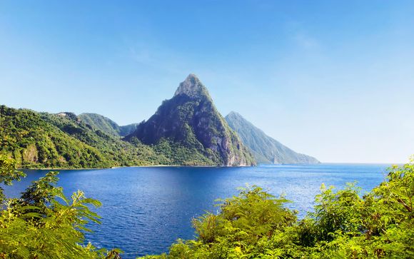 Your Optional Excursions