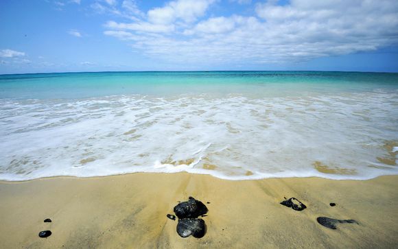 Your Itinerary in Brief