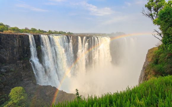 Your Optional Excursions