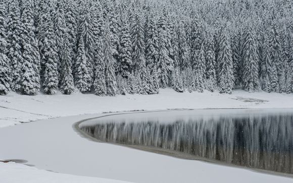 Your Itinerary in Detail