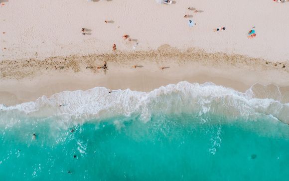 Nautilus by Arlo Miami 4*