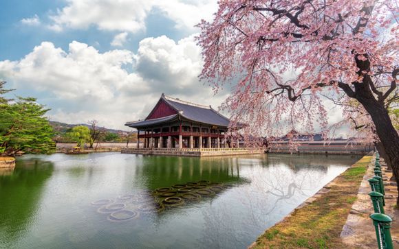 Your Itinerary in Detail