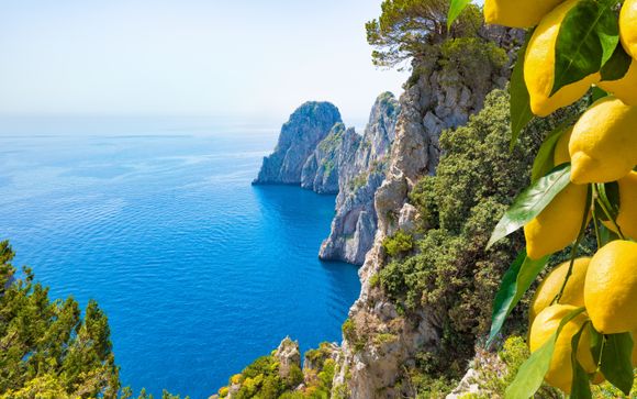 Your Itinerary in Brief