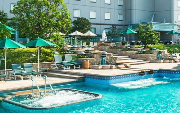 Your hotels