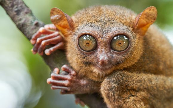 Your itinerary in detail