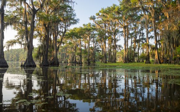 Your optional excursions