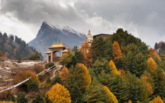 Your itinerary in detail