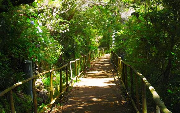 Your Optional Excursions