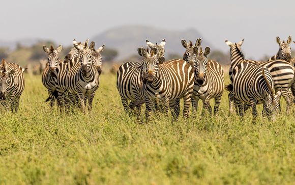 Your itinerary in detail