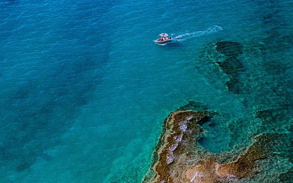 Your cruise at a glance