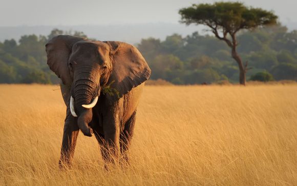 Your itinerary in detail