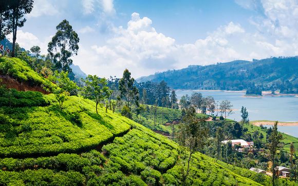 Your itinerary in detail