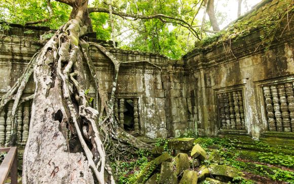 Your optional excursions 