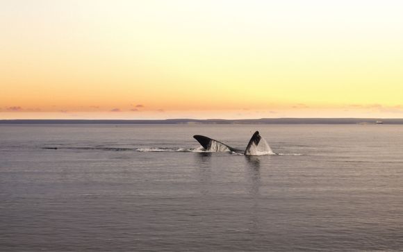 Your itinerary in detail