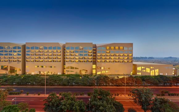 Your hotels