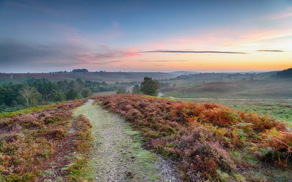 Brockenhurst