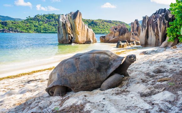 Your itinerary in detail