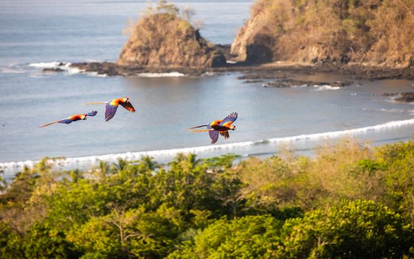 Your itinerary in detail