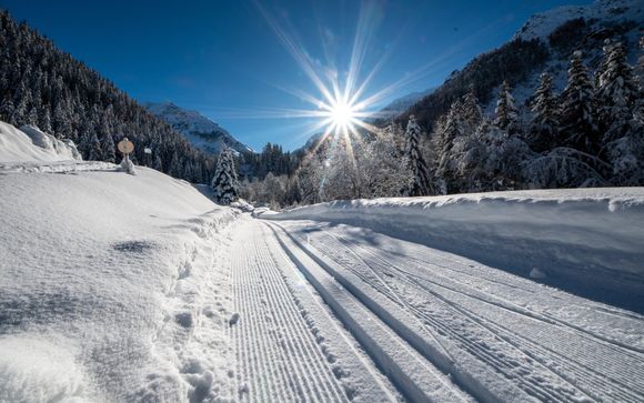 Your ski area