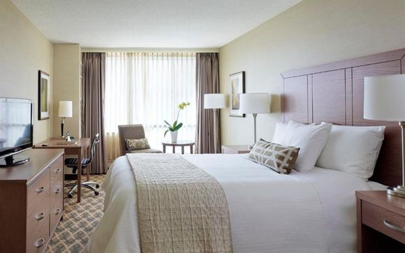 Your hotels