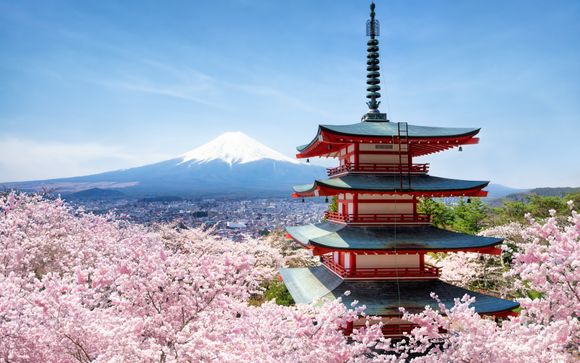 Your itinerary in brief