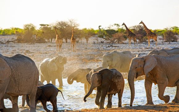 Your itinerary in detail