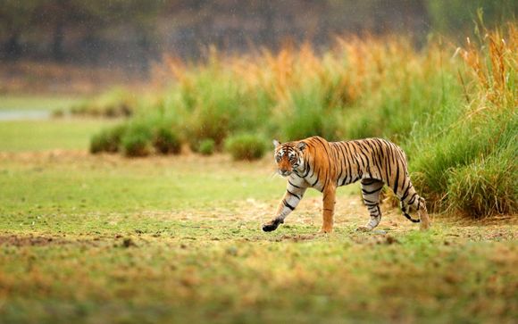 Your itinerary in detail