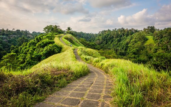 Your itinerary in detail