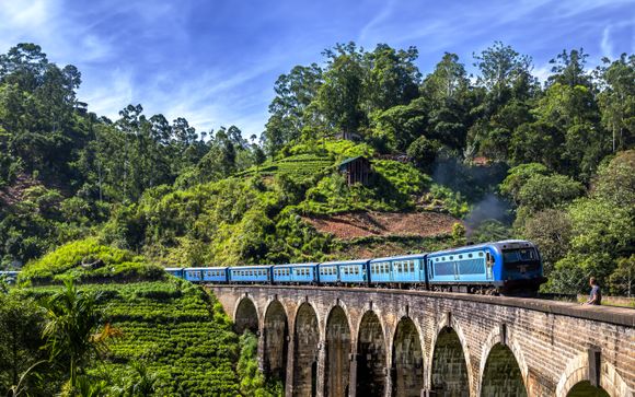 Your itinerary in detail