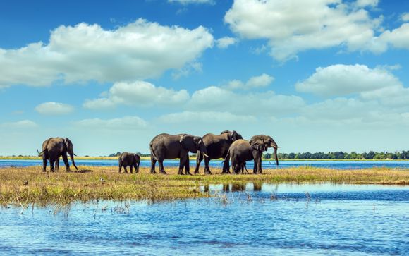 Your optional excursions & extras