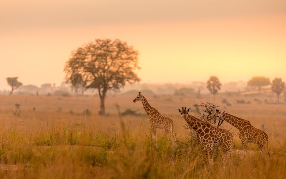 Your itinerary in detail